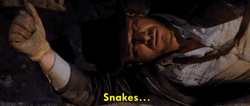Why did it have to snakes? GIF